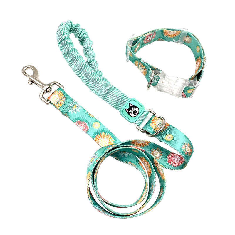 Dog Leash And Collar